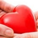 Journée d'information sur le don d'organes à Lille