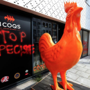 Une rôtisserie lilloise vandalisée par ce qui semble être des militants vegan