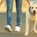 Une clean Walk à Croix avec vos chiens !