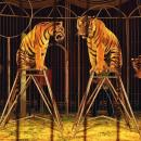 Les animaux sauvages bientôt interdits dans les cirques