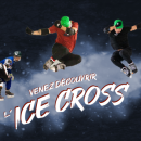 Une course de patinage extrême à Wasquehal