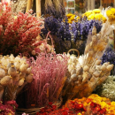 Des marchés de fleurs séchées s'installent à Lille