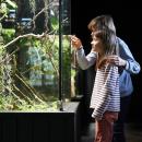 Un concours photo organisé au zoo d'Amiens