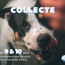 Une collecte pour les animaux de la LPA Lille-Roubaix ce week-end