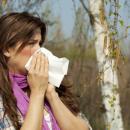 Alerte aux allergies de bouleau dans les Hauts-de-France