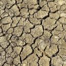 Manque de pluies : Risque de sécheresse précoce dans la région
