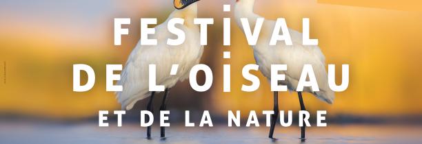 Le festival de l’oiseau et de la nature démarre ce week-end