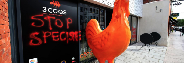 Une rôtisserie lilloise vandalisée par ce qui semble être des militants vegan