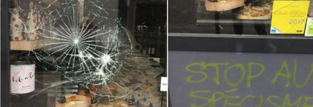Six personnes interpellées, soupçonnées d'avoir attaqué des commerces dans la métropole lilloise