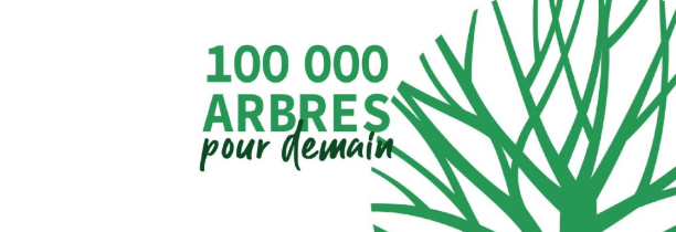 La Voix du Nord lance l'opération "100 000 arbres pour demain"