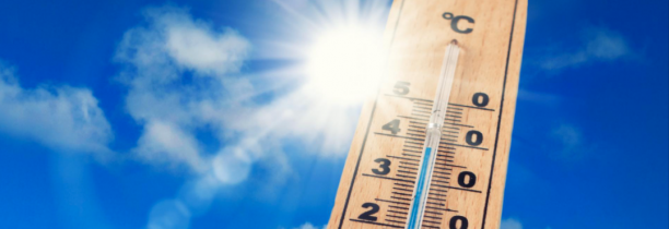 Hausse des températures : jusqu'à 31 degrés attendus dans la MEL ce Mercredi