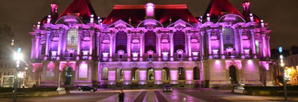 Un parcours spécial au Palais des Beaux-Arts de Lille pour Octobre Rose