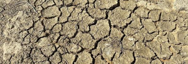 Manque de pluies : Risque de sécheresse précoce dans la région
