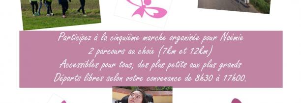 Une marche solidaire à Camphin-en-Carembault pour soutenir Noémie