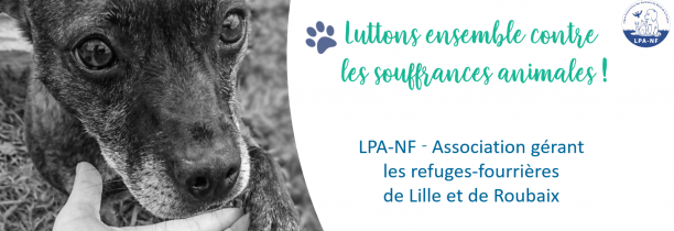 A la LPA de Lille et Roubaix, les adoptions ne sont pas encore autorisées