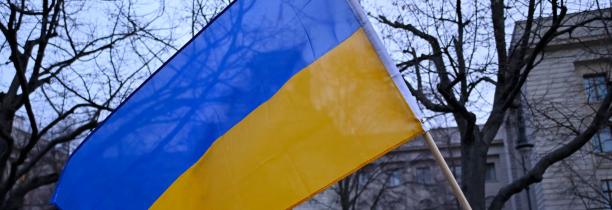 Solidarité avec l'Ukraine : le témoignage d'un lillois qui accueille des réfugiés